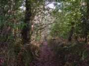 Sendero de Trians. Boiro, La Corua